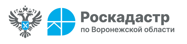 В Воронежской области оцифровано 100% кадастровых дел. В Воронежской области оцифровано 100% кадастровых дел.